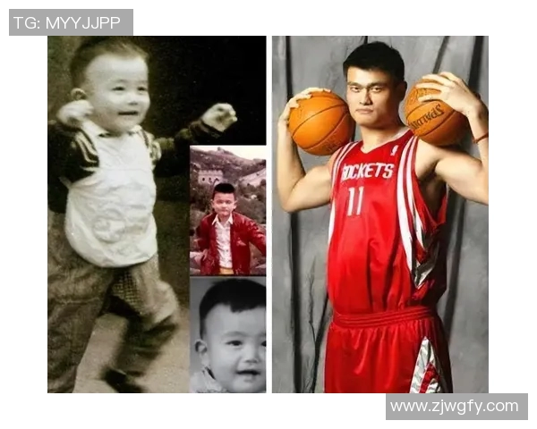 高晓松深度剖析姚明的篮球成就与人生哲学引发热议